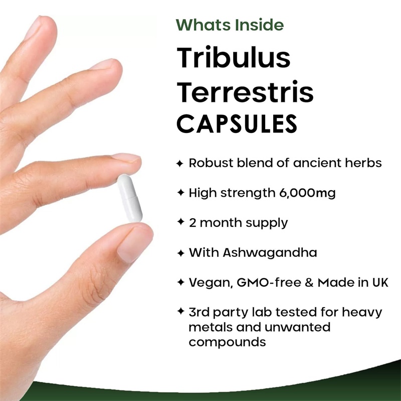 Tribulus Terrestris 6000MG - 全 - Health And Wellness Promotion のレビューと価格